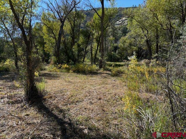 718 Estate Circle Pagosa Springs CO 81147
