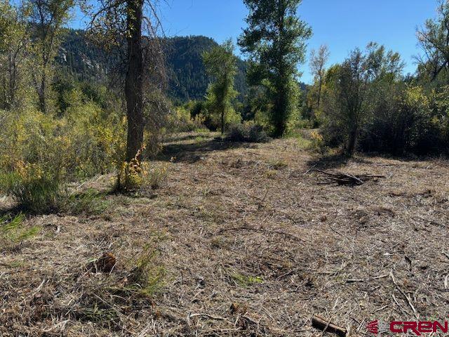 718 Estate Circle Pagosa Springs CO 81147
