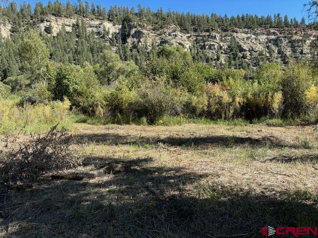 718 Estate Circle Pagosa Springs CO 81147