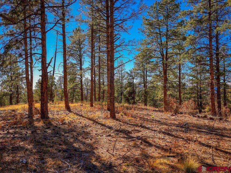 1231 Ranchland Drives Pagosa Springs CO 81147