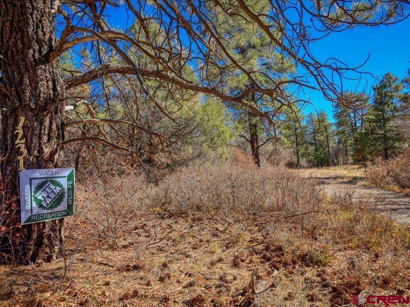 1231 Ranchland Drives Pagosa Springs CO 81147