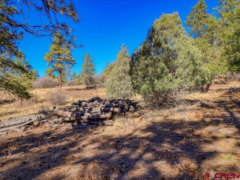1231 Ranchland Drives Pagosa Springs CO 81147