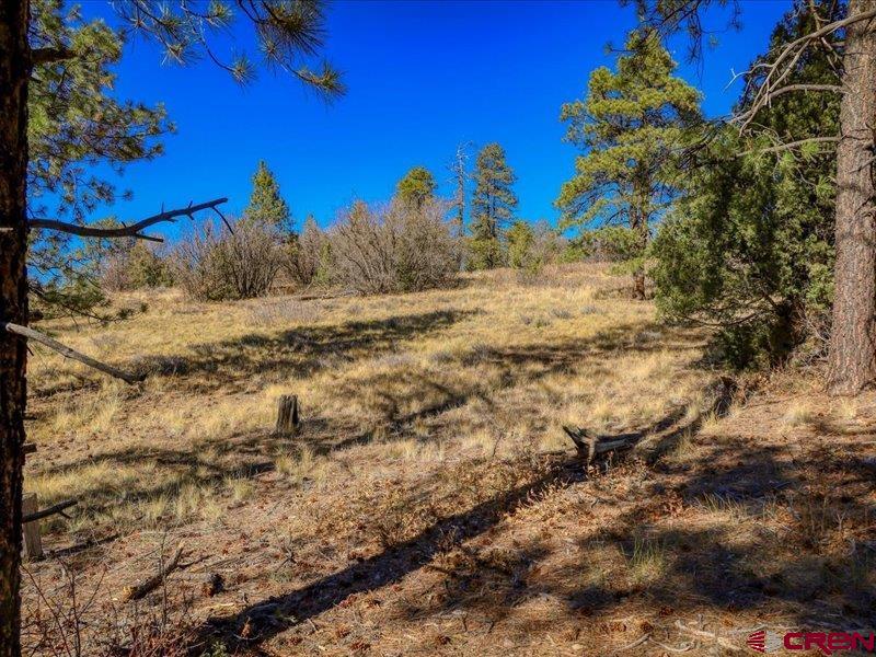 1231 Ranchland Drives Pagosa Springs CO 81147