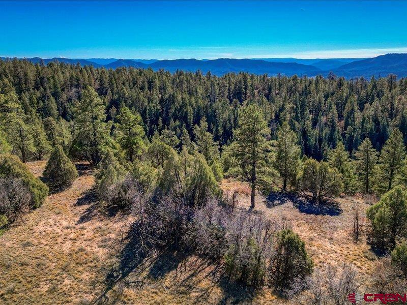1231 Ranchland Drives Pagosa Springs CO 81147