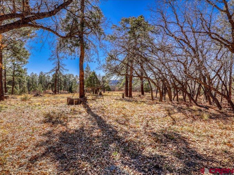 1231 Ranchland Drives Pagosa Springs CO 81147