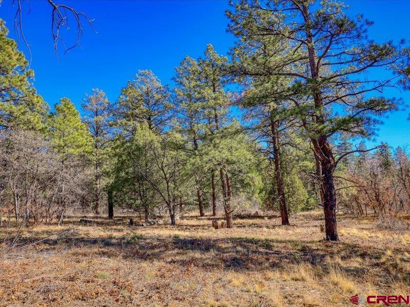 1231 Ranchland Drives Pagosa Springs CO 81147