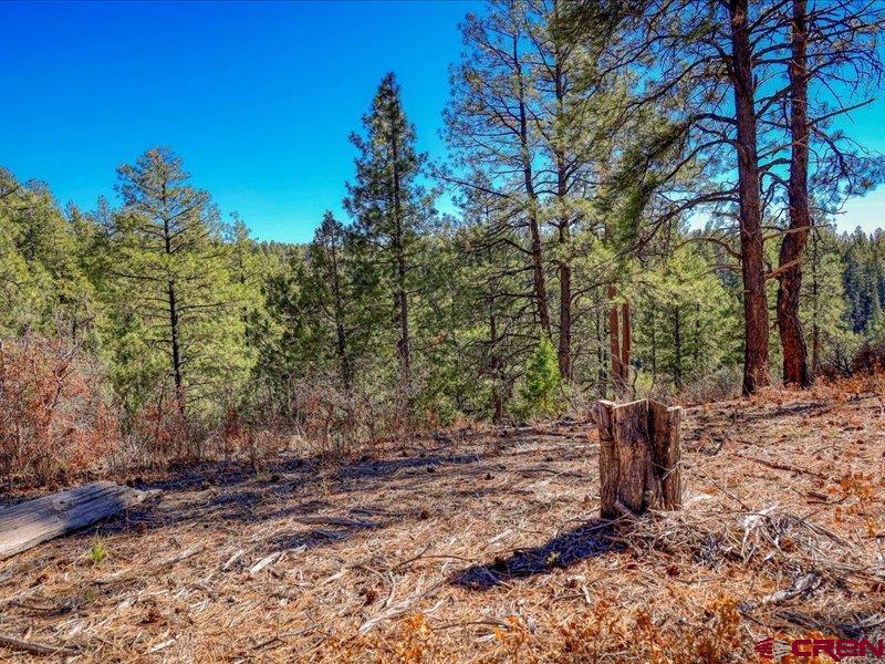 1231 Ranchland Drives Pagosa Springs CO 81147
