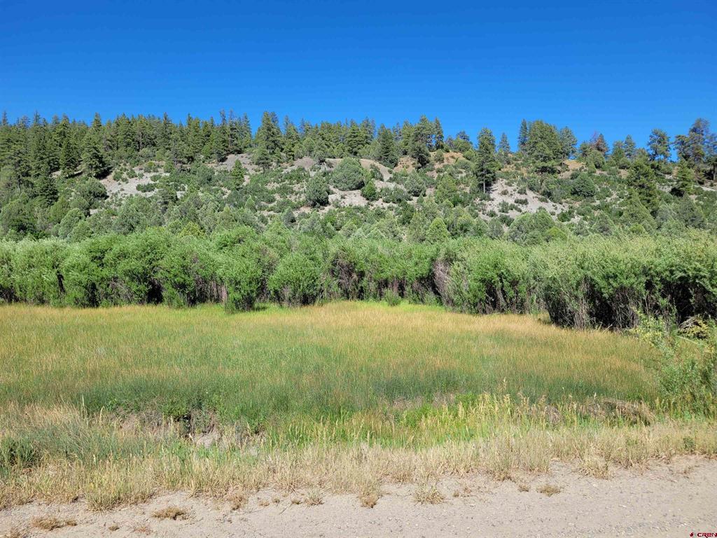 1578 Harvard Avenue Pagosa Springs CO 81147