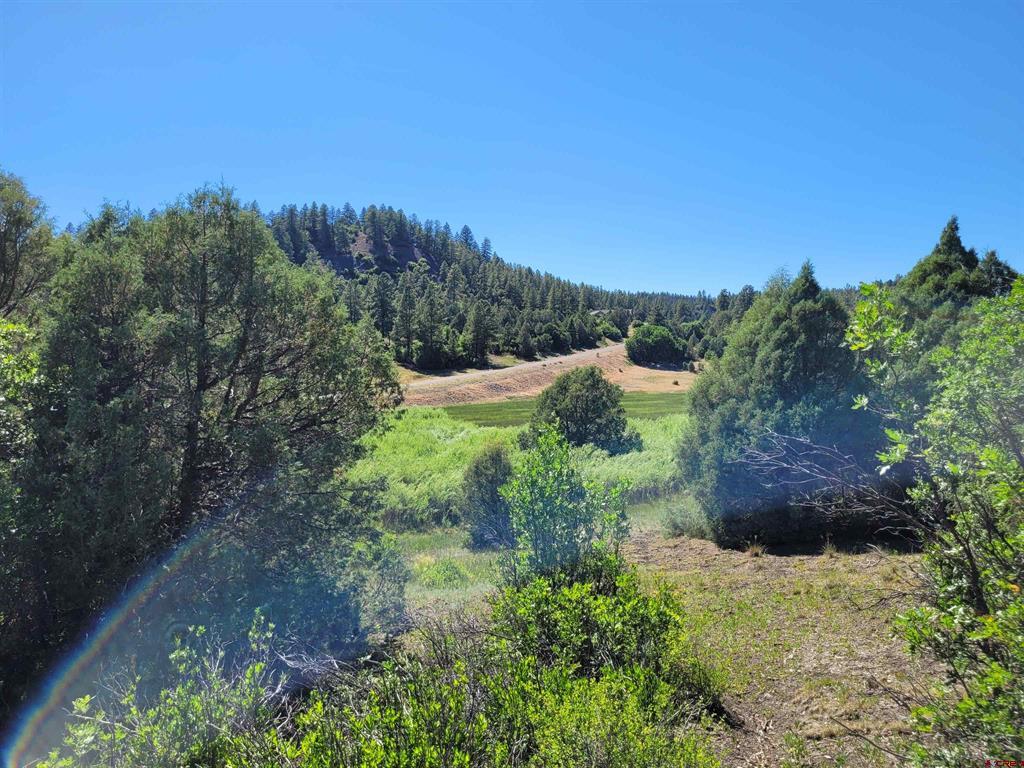 1578 Harvard Avenue Pagosa Springs CO 81147