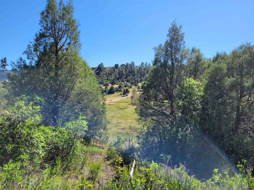 1578 Harvard Avenue Pagosa Springs CO 81147