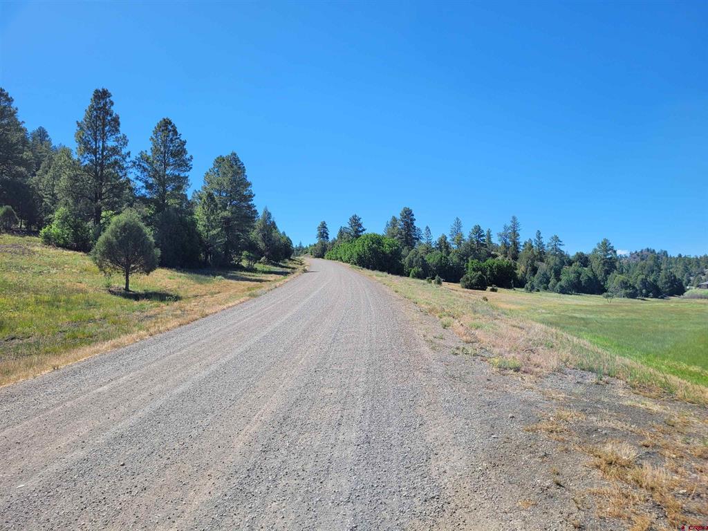 1578 Harvard Avenue Pagosa Springs CO 81147