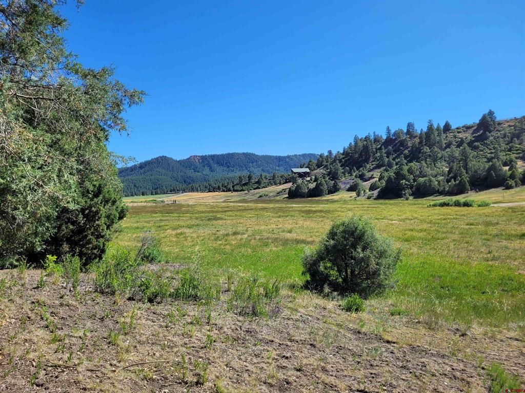 1578 Harvard Avenue Pagosa Springs CO 81147