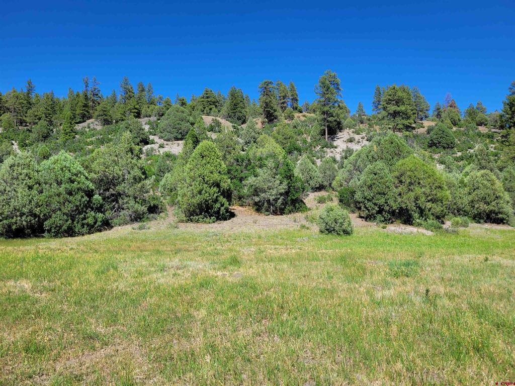 1578 Harvard Avenue Pagosa Springs CO 81147