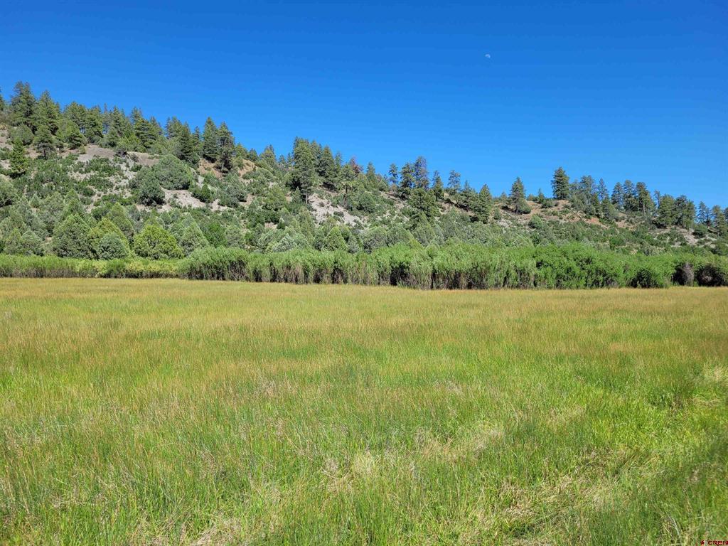 1578 Harvard Avenue Pagosa Springs CO 81147