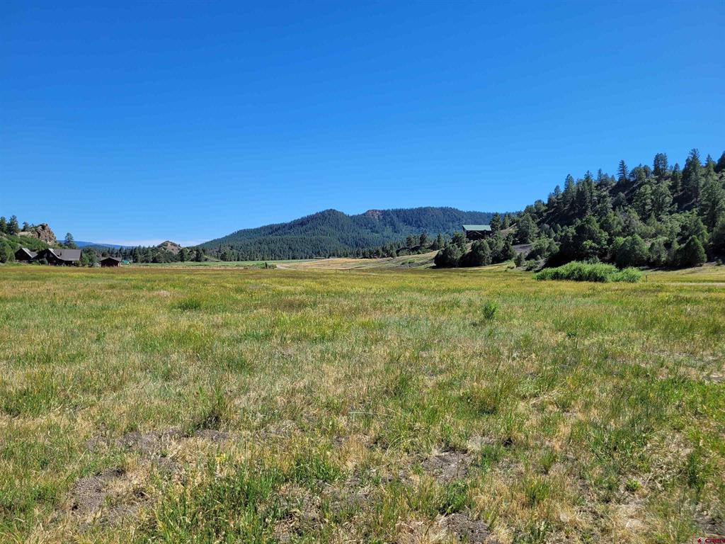 1578 Harvard Avenue Pagosa Springs CO 81147