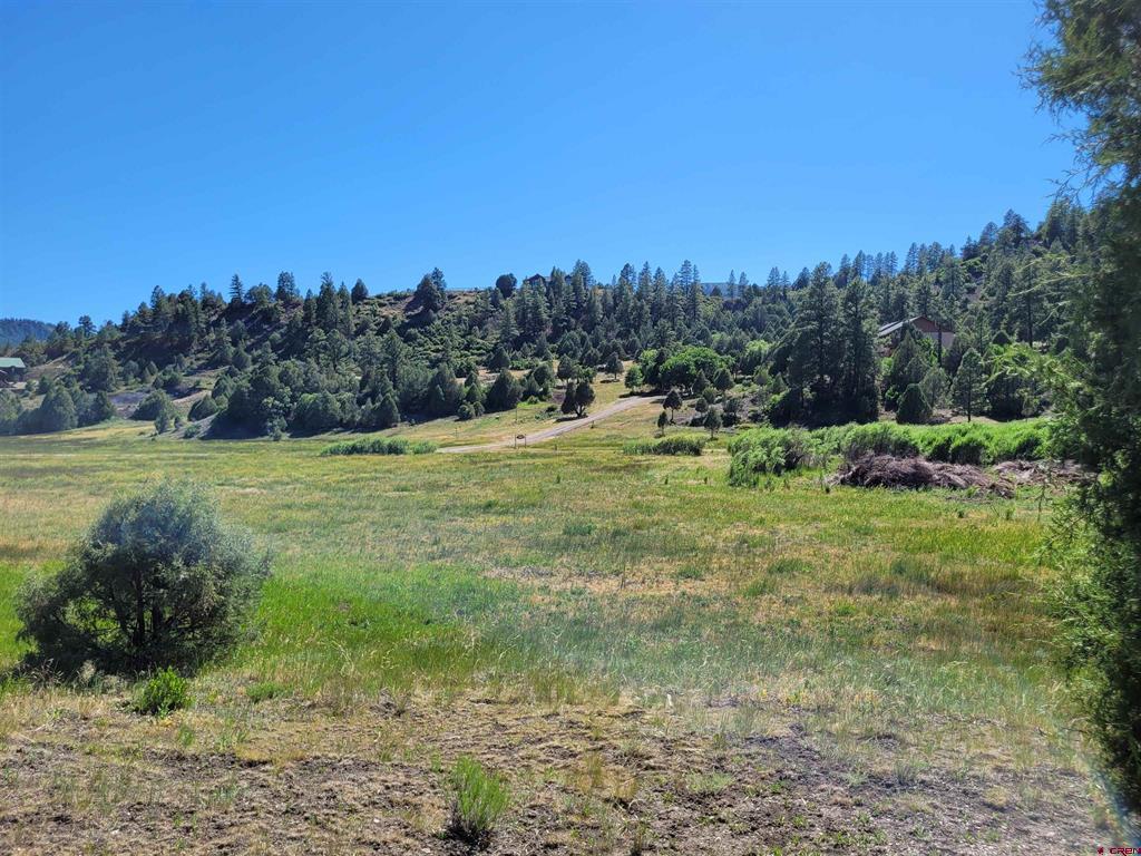 1578 Harvard Avenue Pagosa Springs CO 81147