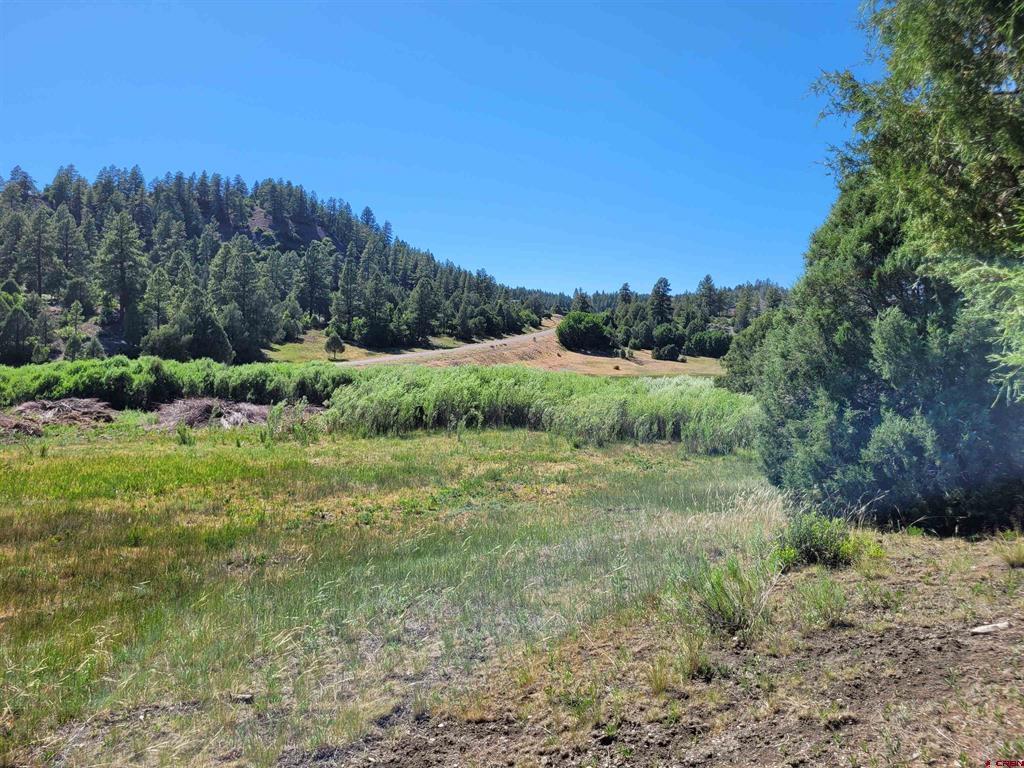 1578 Harvard Avenue Pagosa Springs CO 81147