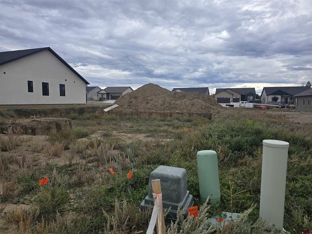 3346 Pineview Street Montrose CO 81401