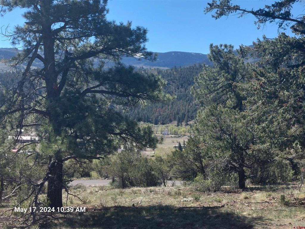 311 Vista De Verde Circle South Fork CO 81154