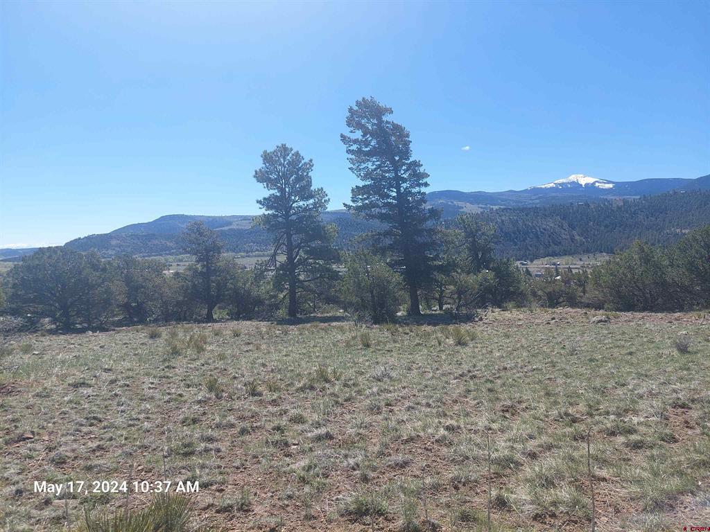 311 Vista De Verde Circle South Fork CO 81154