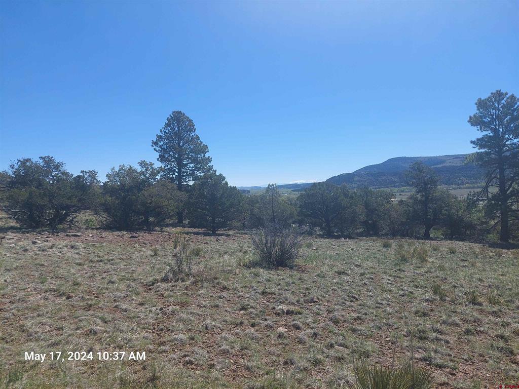 311 Vista De Verde Circle South Fork CO 81154