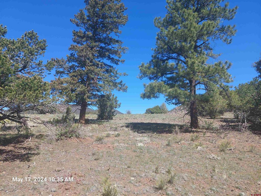 311 Vista De Verde Circle South Fork CO 81154