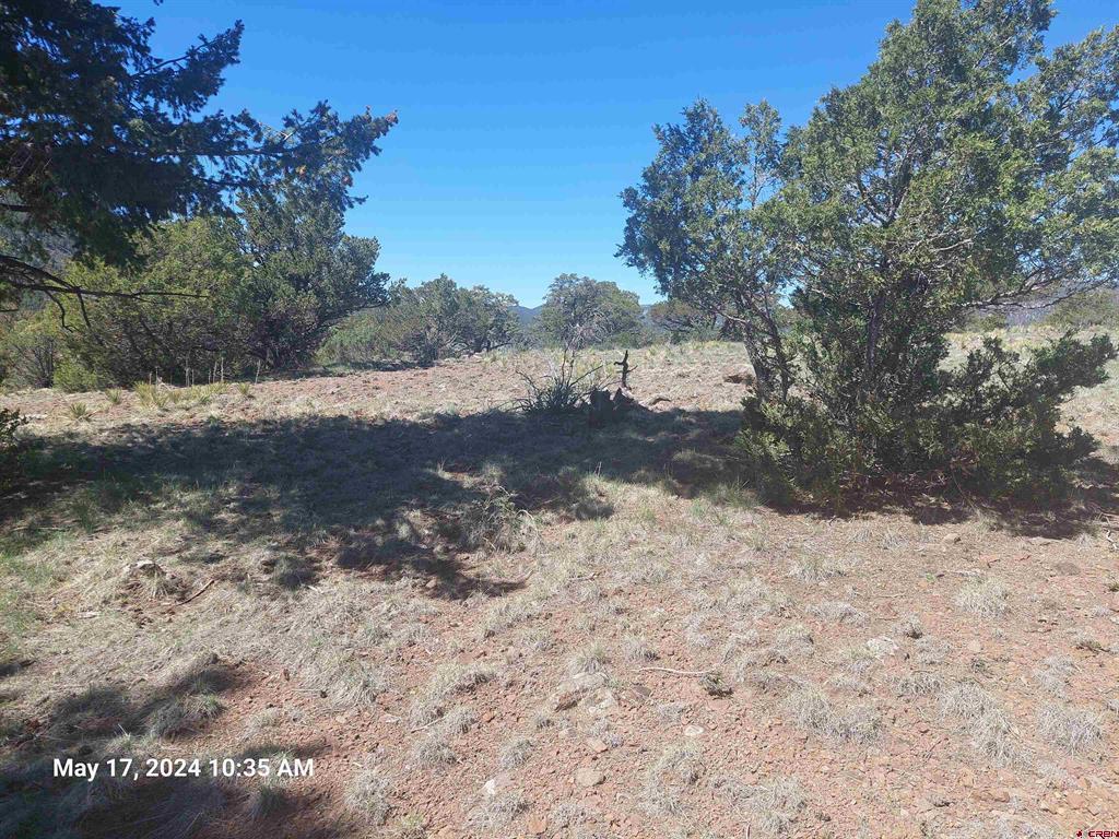 311 Vista De Verde Circle South Fork CO 81154