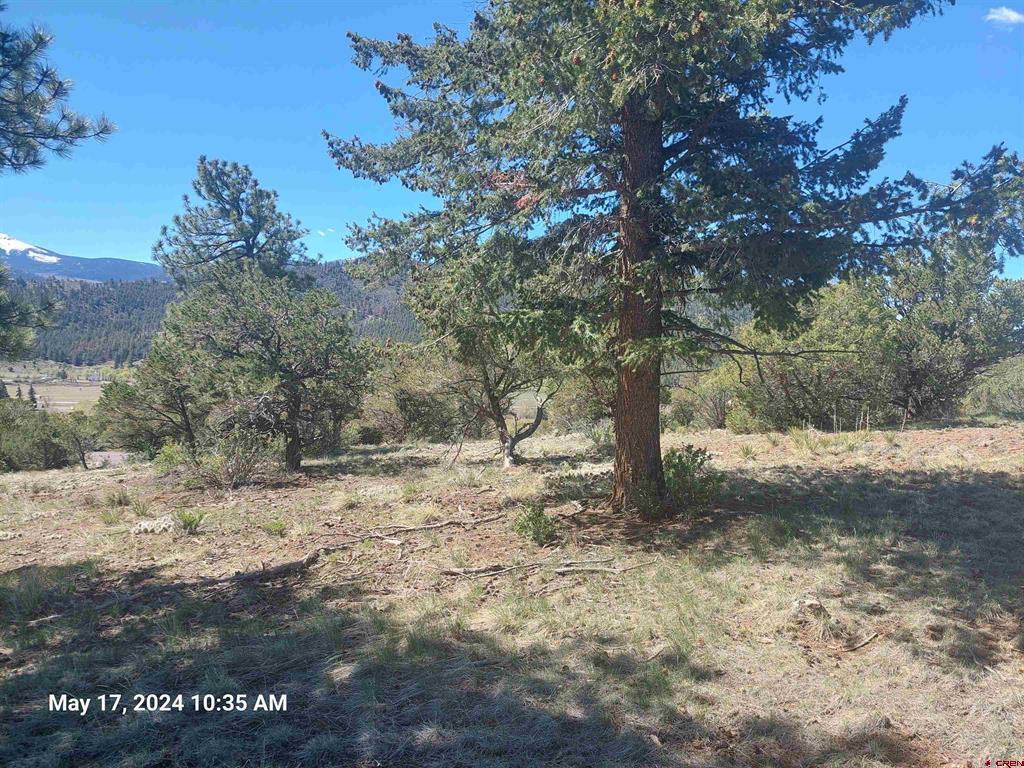 311 Vista De Verde Circle South Fork CO 81154