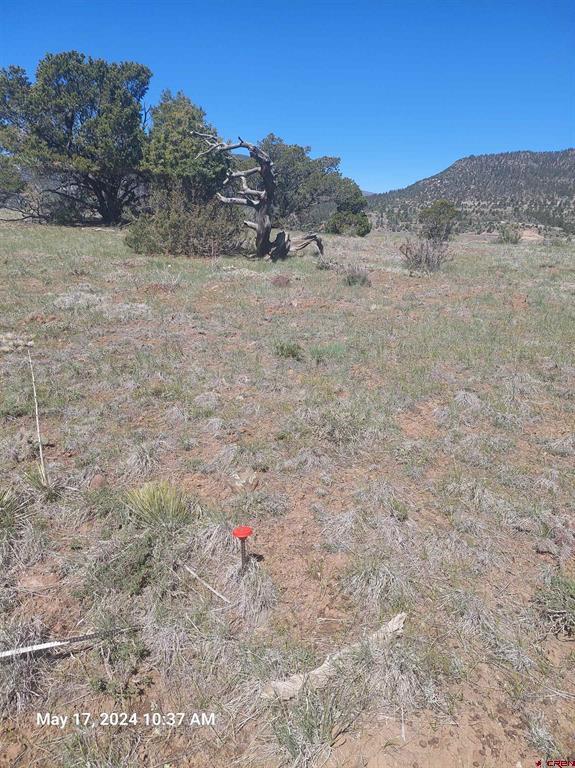311 Vista De Verde Circle South Fork CO 81154