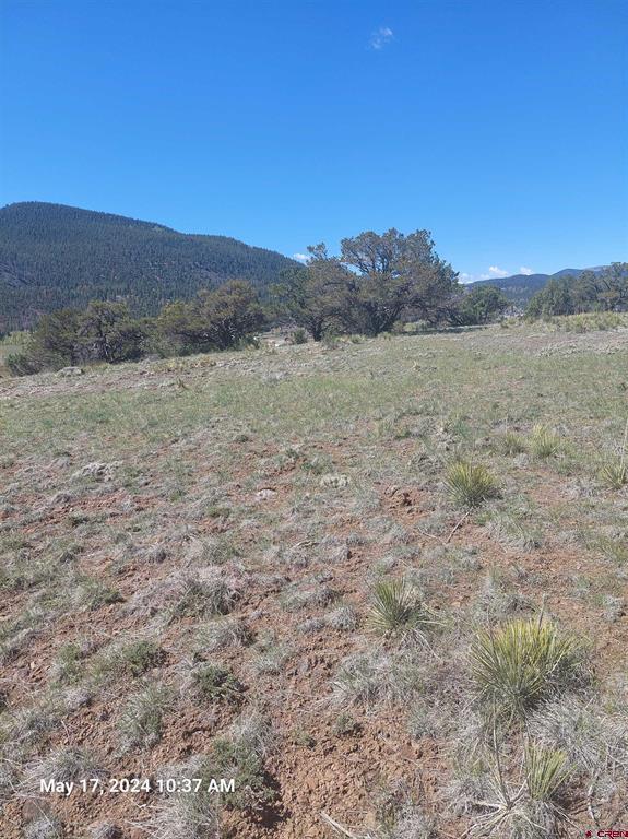 311 Vista De Verde Circle South Fork CO 81154