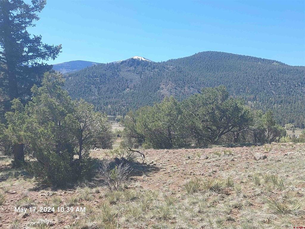311 Vista De Verde Circle South Fork CO 81154