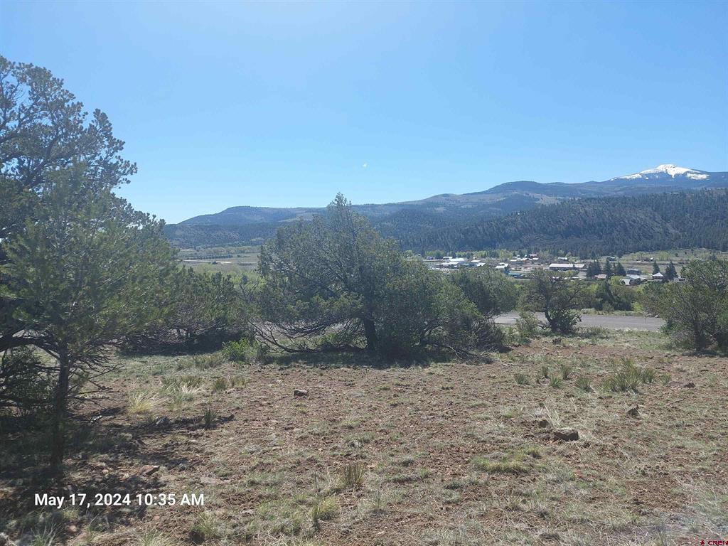 311 Vista De Verde Circle South Fork CO 81154