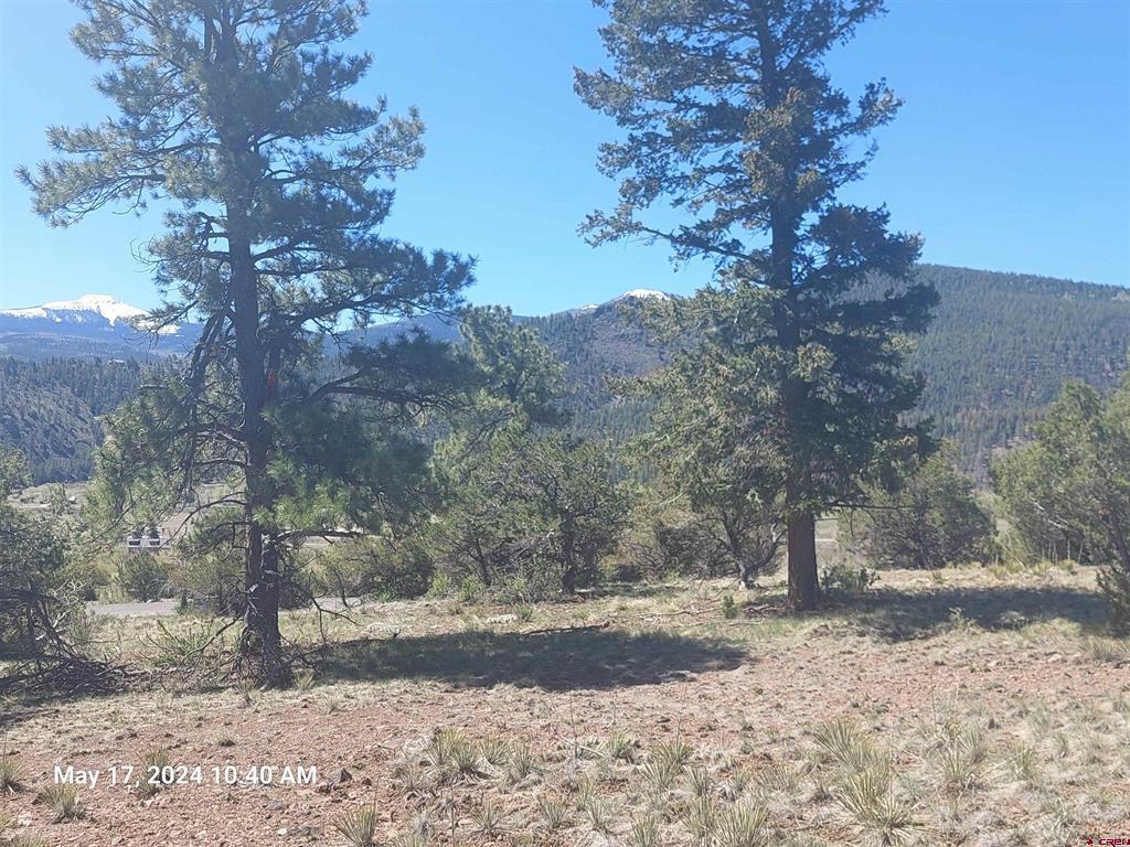 311 Vista De Verde Circle South Fork CO 81154