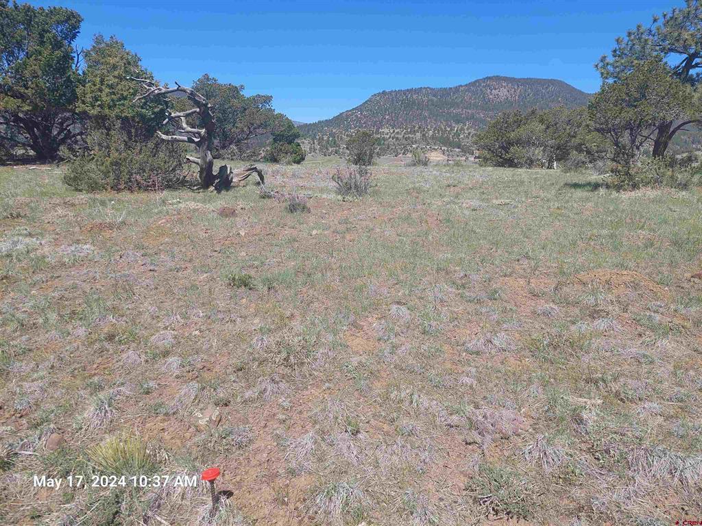 311 Vista De Verde Circle South Fork CO 81154