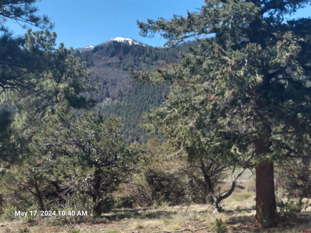 311 Vista De Verde Circle South Fork CO 81154