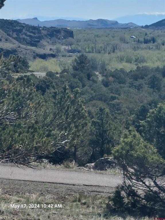 311 Vista De Verde Circle South Fork CO 81154