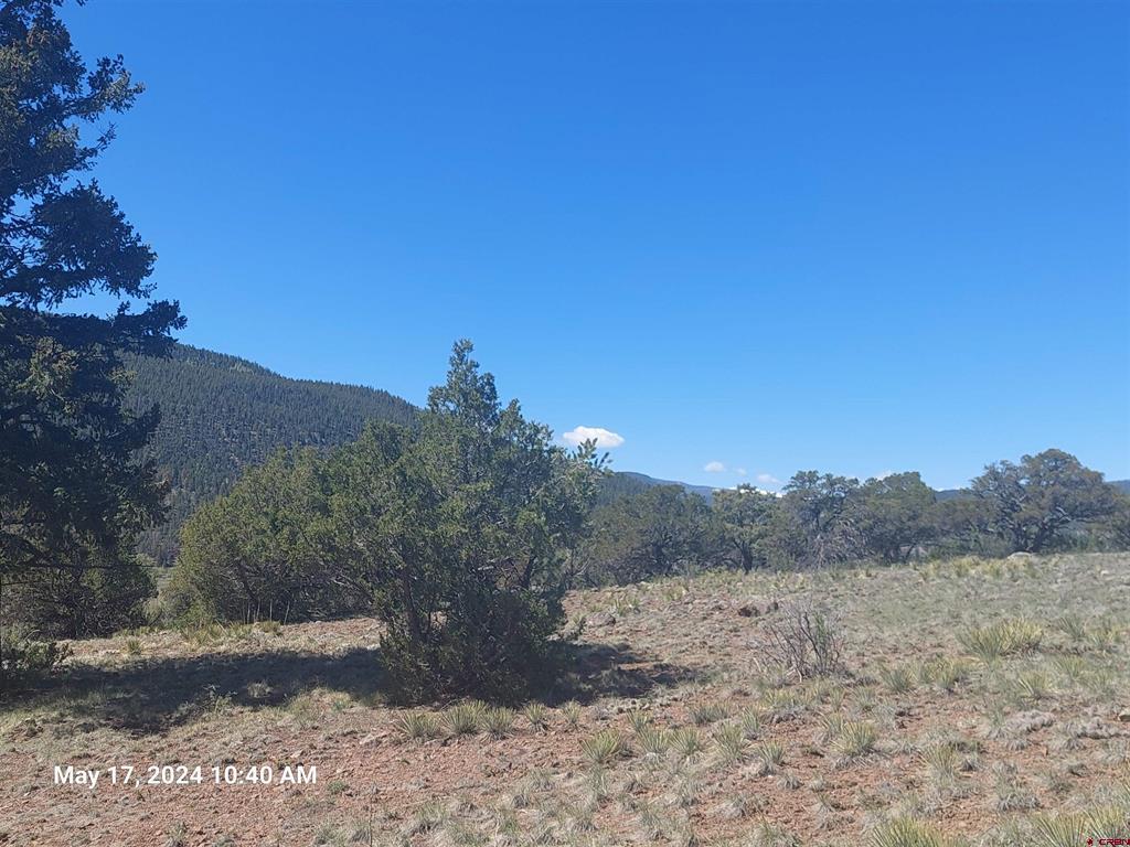 311 Vista De Verde Circle South Fork CO 81154