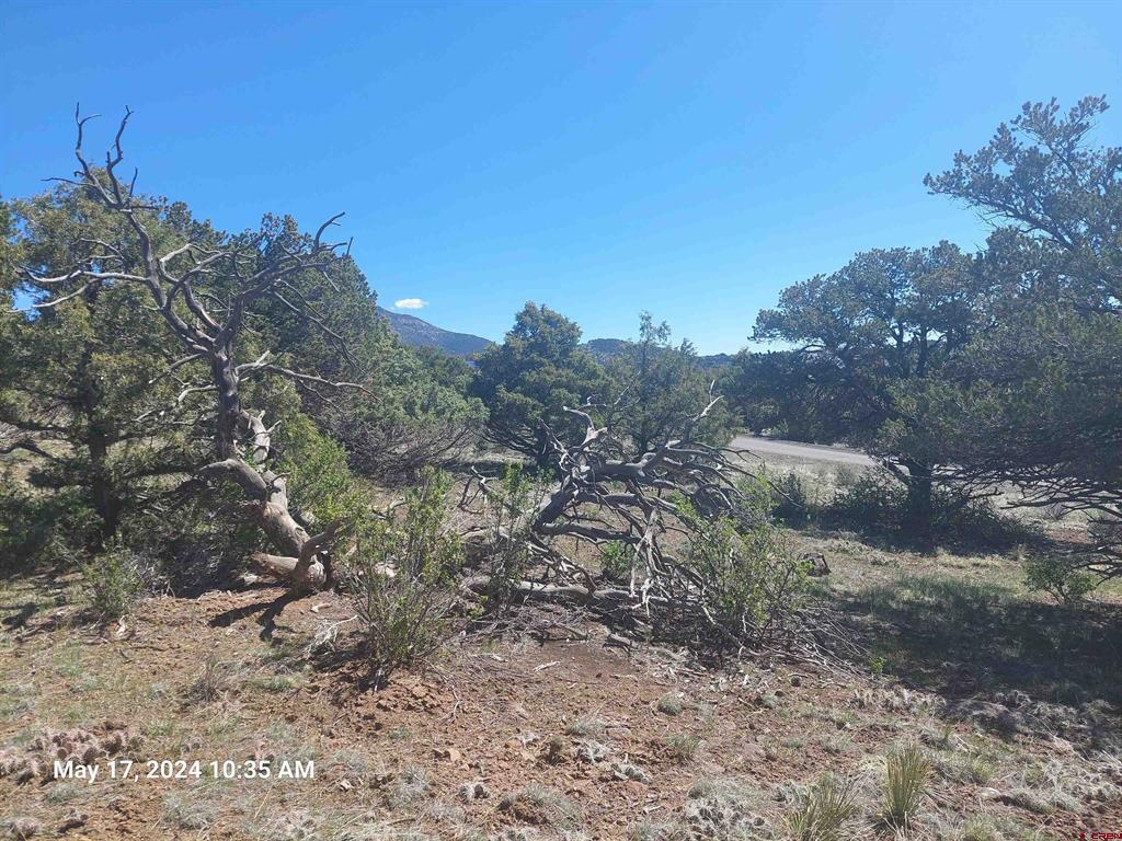 311 Vista De Verde Circle South Fork CO 81154