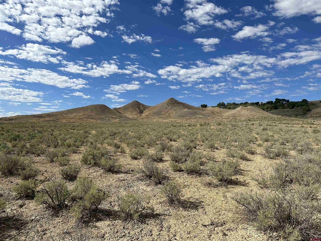 Tbd Jig Road Montrose CO 81403