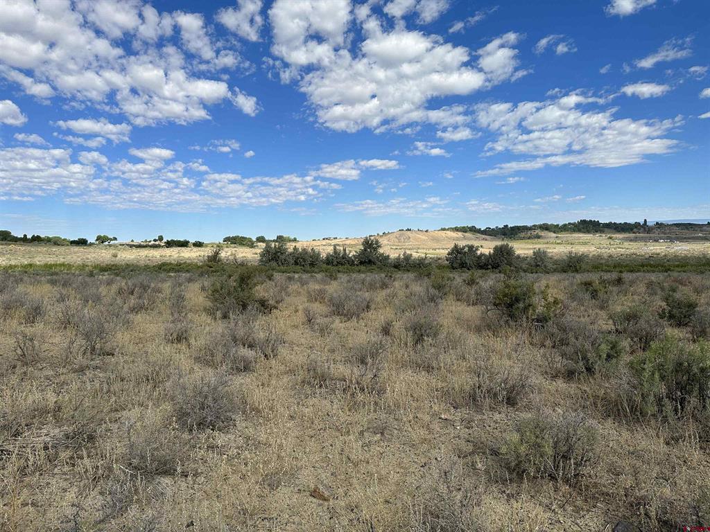 Tbd Jig Road Montrose CO 81403