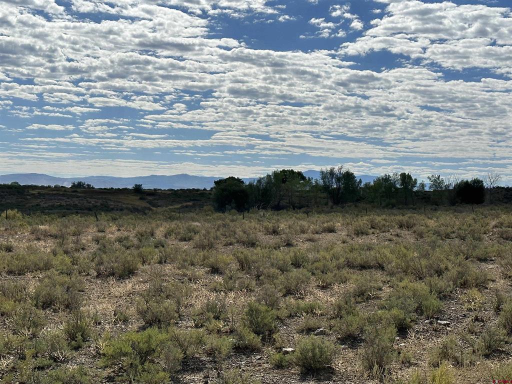 Tbd Jig Road Montrose CO 81403