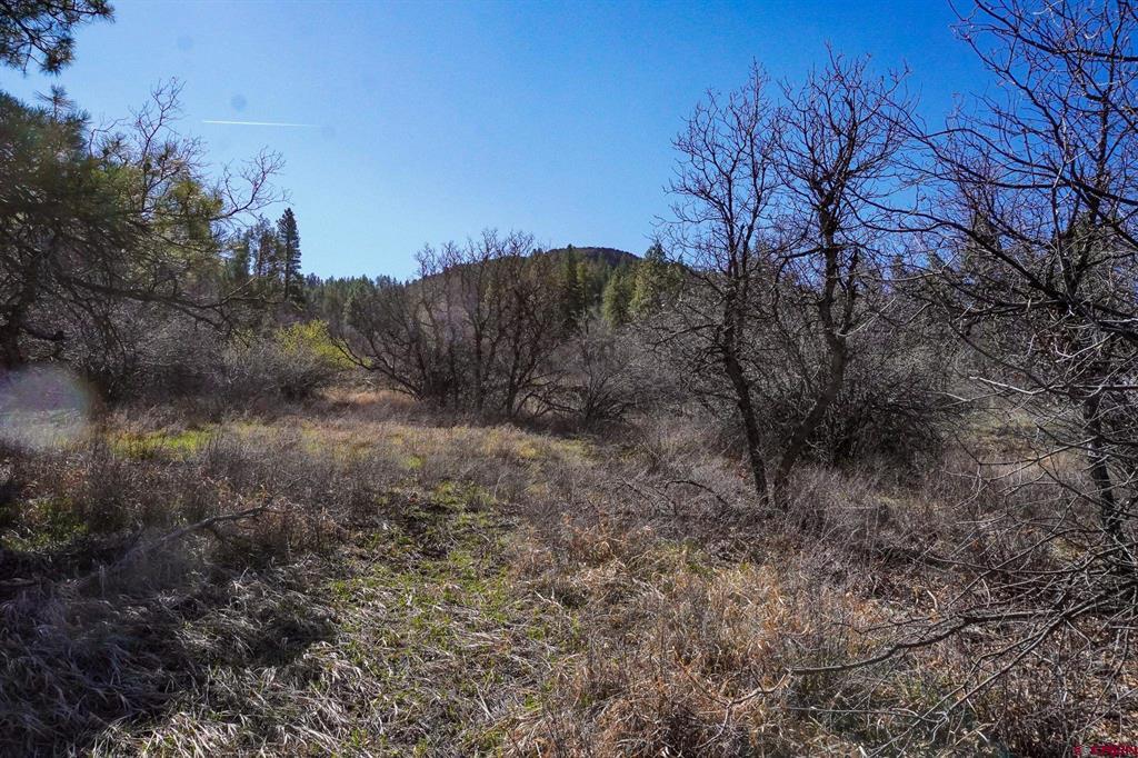 912 Alpine Drive Bayfield CO 81122