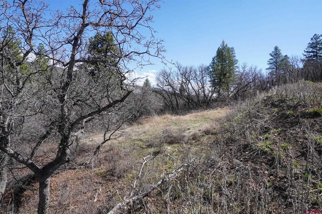 912 Alpine Drive Bayfield CO 81122