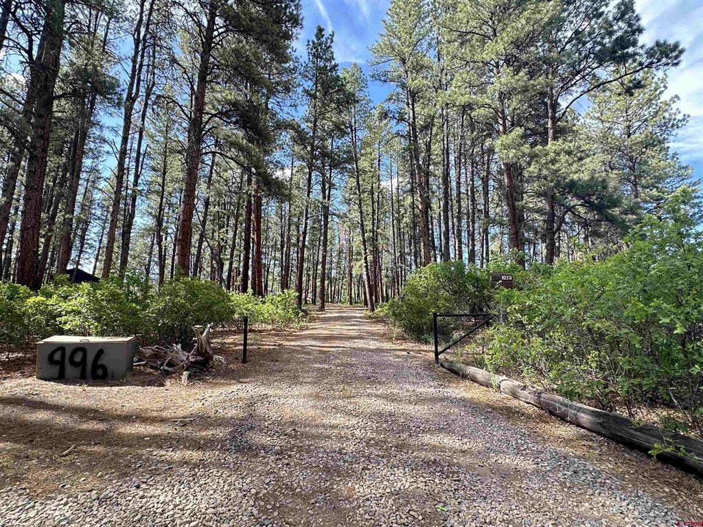 Pagosa Springs CO, 996 & 1032 Raccoon