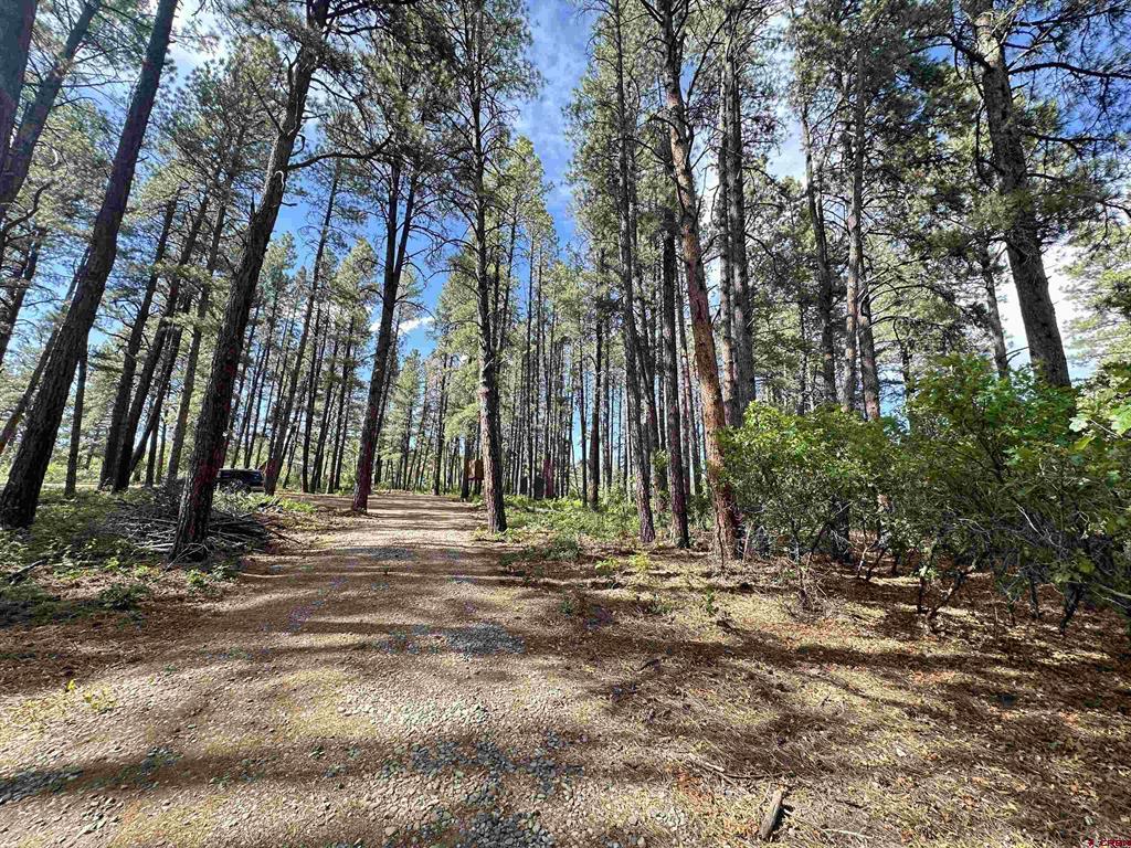 996 & 1032 Raccoon Drive Pagosa Springs CO 81147