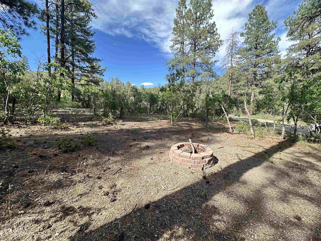 996 & 1032 Raccoon Drive Pagosa Springs CO 81147