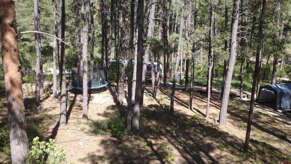 996 & 1032 Raccoon Drive Pagosa Springs CO 81147