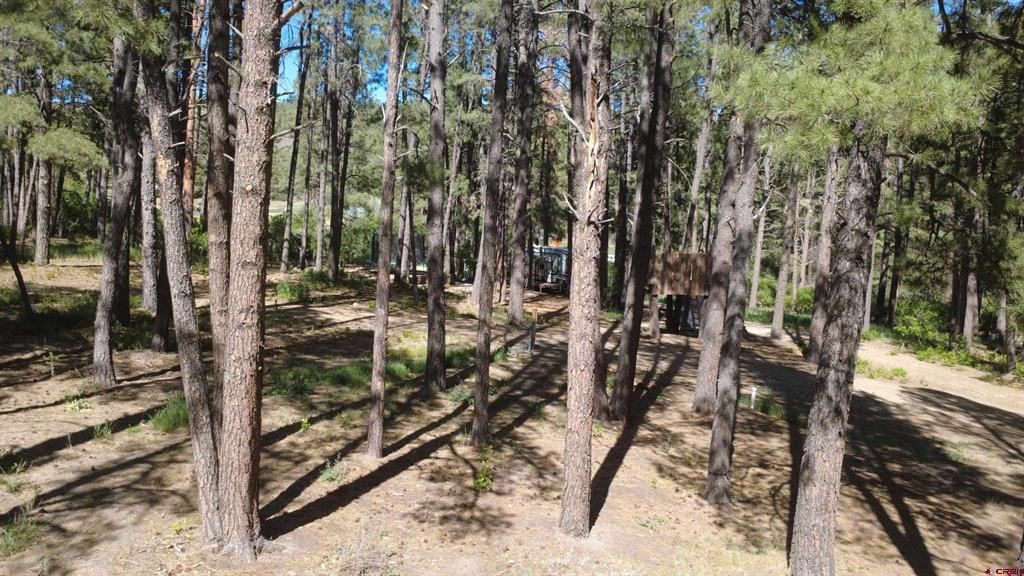 996 & 1032 Raccoon Drive Pagosa Springs CO 81147