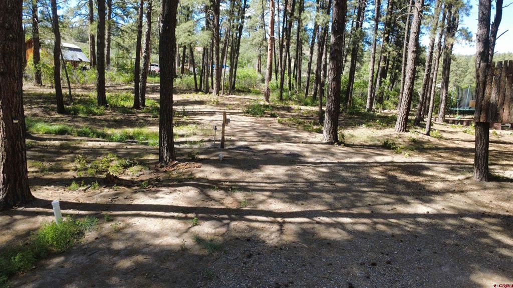 996 & 1032 Raccoon Drive Pagosa Springs CO 81147