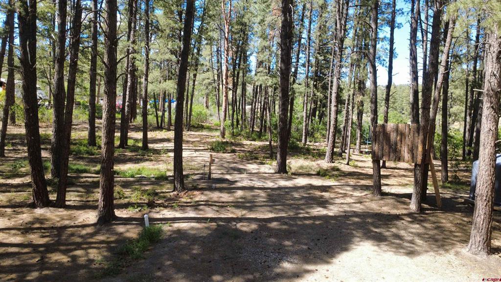 996 & 1032 Raccoon Drive Pagosa Springs CO 81147